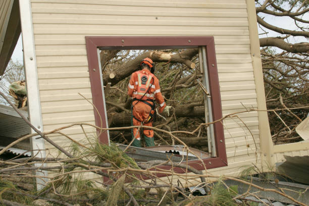 Professional Tree Services in Olga, FL